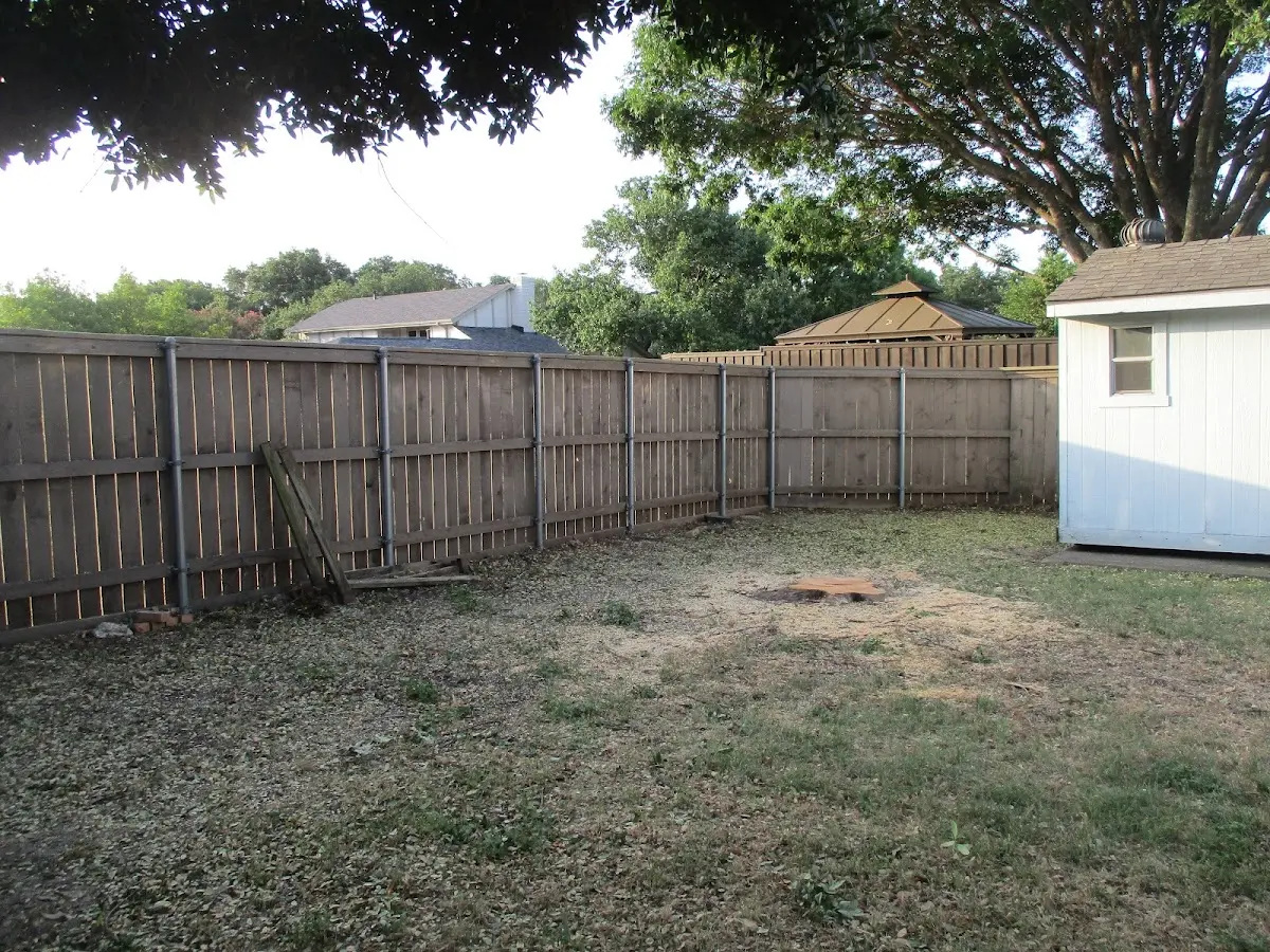 Cleared yard after professional tree removal in Saint Paul