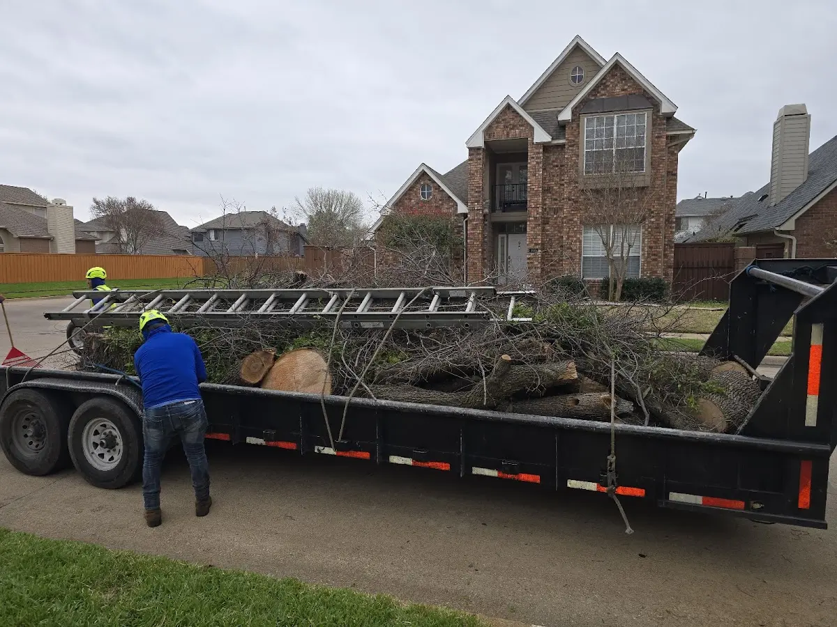 Expert Tree Removal with proper safety equipment in Saint Paul